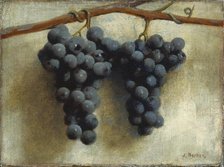 Grapes, c. 1890/1895. Creator: Joseph Decker.