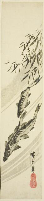 Fish in a stream, c. 1840. Creator: Ando Hiroshige.