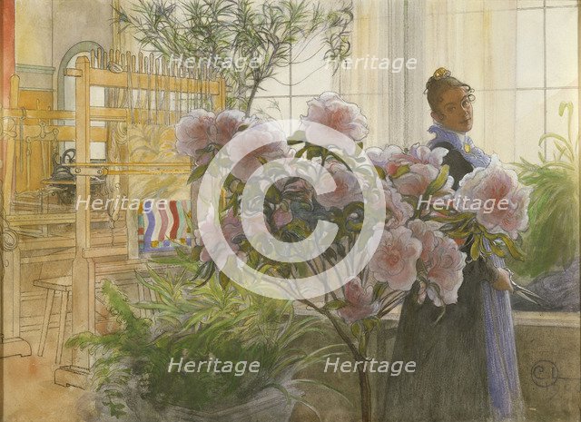 Azalea, 1906. Artist: Larsson, Carl (1853-1919)