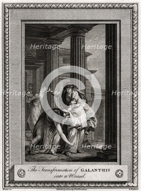 'The Transformation of Galanthis into a Weasel', 1777. Artist: W Walker