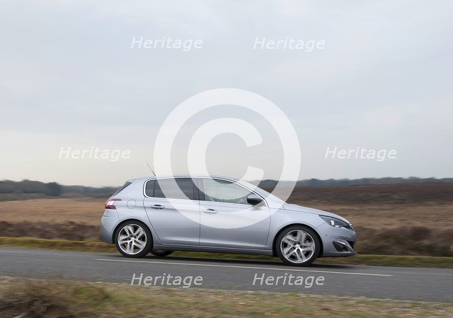 2014 Peugeot 308 THP 156 Feline Artist: Unknown.