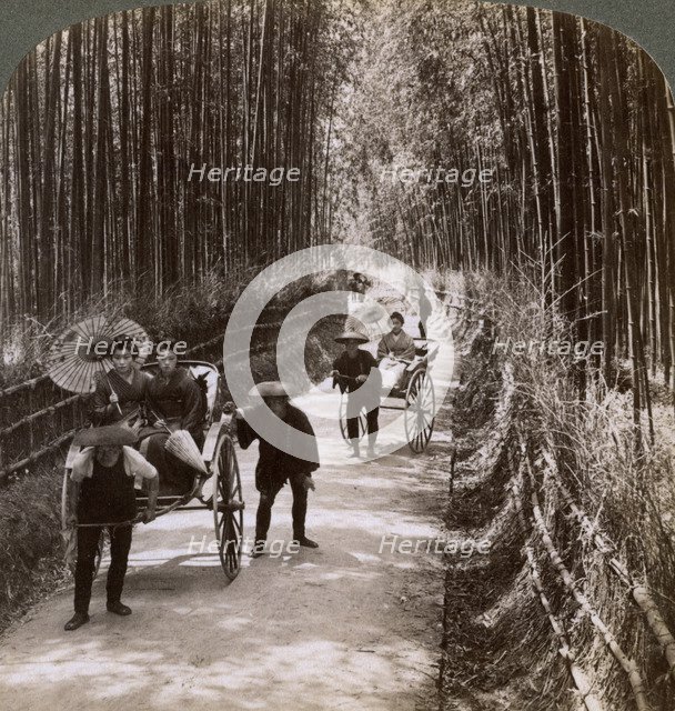 Bamboo avenue, looking south-west, near Kiyomizu, Kyoto, Japan, 1904. Artist: Underwood & Underwood