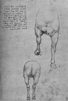 'Studies of the Fore-Quarters and of the Hind-Quarters of a Horse', c1480 (1945). Artist: Leonardo da Vinci.