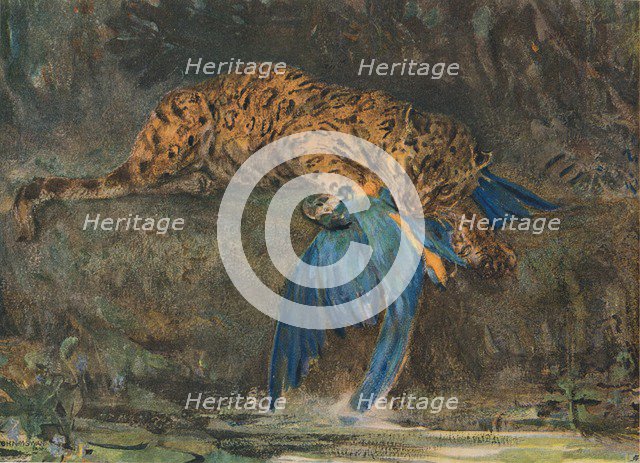 'Jaguar and Macaw', late 19th century. Artist: John MacAllan Swan.