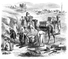 The Isthmus of Suez Maritime Canal: workmen loading dromedaries, 1869. Creator: Unknown.