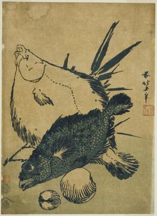 Flatfish, scorpion fish, and shells, from an untitled series of chuban prints, Japan, c. 1831. Creator: Hokusai.