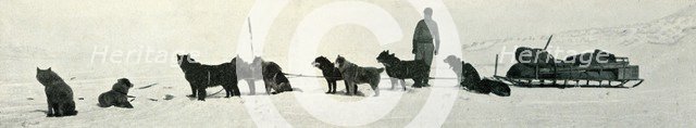 'Dogs with Stores About to Leave Hut Point', c1911, (1913). Artist: Herbert Ponting.
