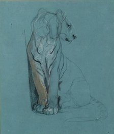 A Seated Tiger, 1900-1910. Creator: John MacAllan Swan.