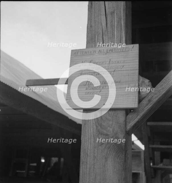 Sign at a tomato packing shed for migrant and local labor, Hazelhurst, Mississippi, 1937. Creator: Dorothea Lange.