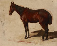 Study of a Horse, c1870. Creator: Maksymilian Gierymski.
