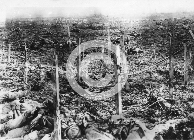 Verdun 1916, 1916.