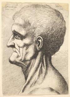 Head of a toothless man with bare, sinewy neck in profile to left, 1648. Creator: Wenceslaus Hollar.