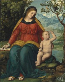 Madonna del grappolo (Madonna of the Grapevine), 16th century.