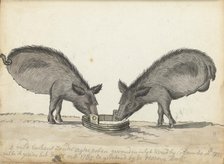 Pigs without hind legs at a trough, 1785. Creator: Jan Brandes.