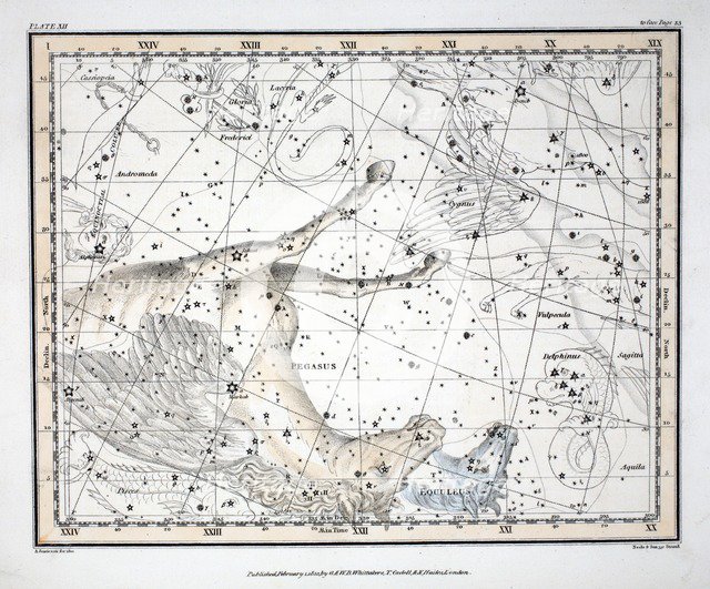 The Constellations (Plate XII) Pegasus, and Equuleus, 1822.