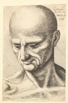 Head of a bald, sinewy man looking downwards, 1648. Creator: Wenceslaus Hollar.