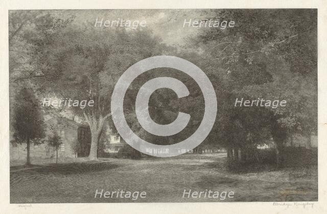 New England Elms, c. 1889-1890. Creator: Elbridge Kingsley.