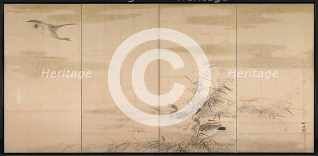 Geese, Reeds, and Water, 1800s. Creator: Yamamoto Baiitsu (Japanese, 1783-1856).