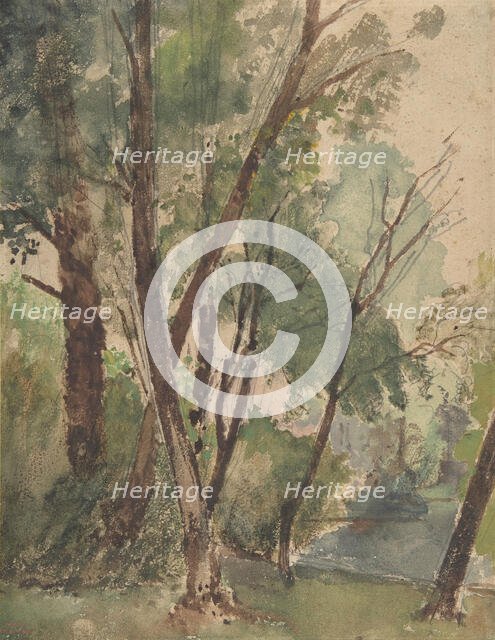 Trees Beside a Pond, 1853-1878. Creator: Louis-Antoine-Leon Riesener.