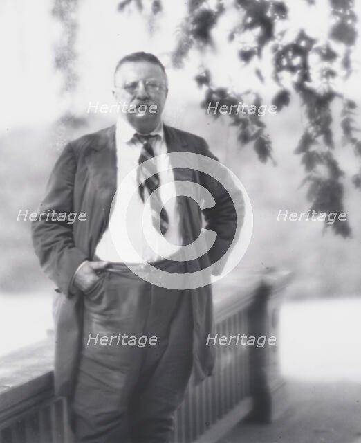 Portrait photograph of Theodore Roosevelt, 1916 Sept. 8. Creator: Arnold Genthe.
