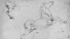 'Studies of a Rearing Horse and a Horse's Hind-Quarters', c1480 (1945). Artist: Leonardo da Vinci.