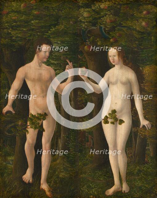 The Fall of Man [middle panel], c. 1535. Creator: Workshop of Albrecht Altdorfer.