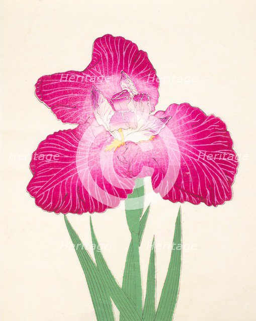 Kyo-Kanoko, No 24, 1890, (colour woodblock print)