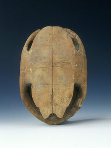Petrified tortoise shell with oracle bone inscriptions, possibly Shang Dynasty, China, c1400 BC. Artist: Unknown