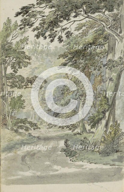 Forest path, 1783. Creator: Johannes Huibert Prins.