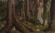 Forest, study, 1872. Creator: Fanny Churberg.