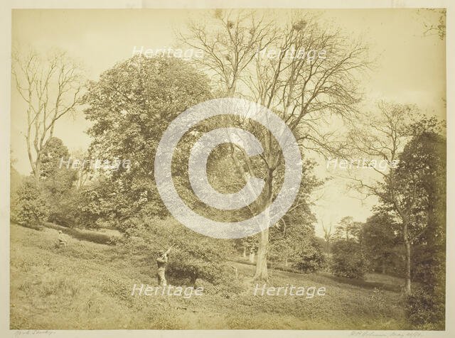 Rook Shooting, May 21, 1881. Creator: Henry Peach Robinson.