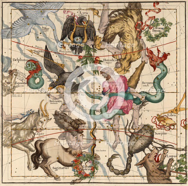 Winter Solstice , Plate 5 from Globi coelestis in tabulas planas redacti descriptio, 1674. 