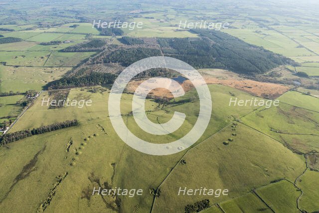 Ashen Hill barrow cemetery and Priddy Nine Barrows Cemetery, Somerset, 2016. Creator: Damian Grady.
