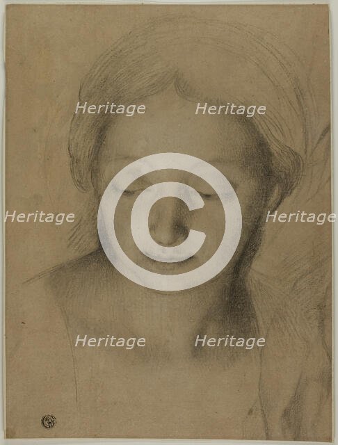 Head of a Woman, n.d. Creator: Antonio Cavallucci.