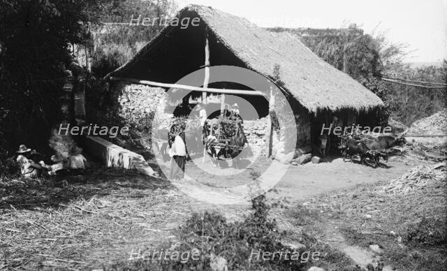 Groups about the sugar mill, Temasopa [sic], between 1880 and 1897. Creator: William H. Jackson.