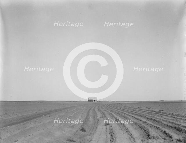 Abandoned tenant house, seen across tractored cotton fields, Childress County, Texas, 1937. Creator: Dorothea Lange.