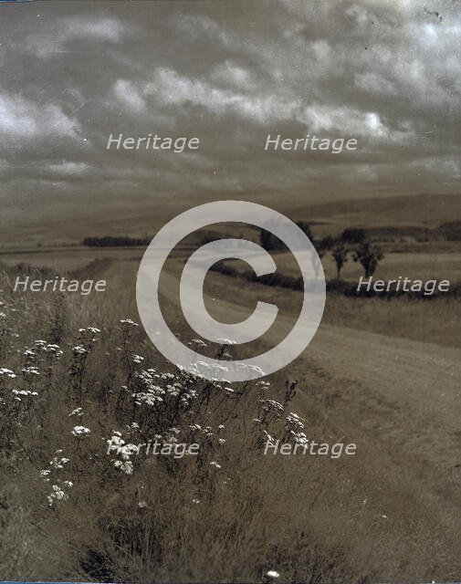Near Ashburton, c1920-1946. Creator: Thelma Kent.