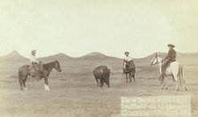 Cowboys, roping a buffalo on the plains, between 1887 and 1892. Creator: John C. H. Grabill.