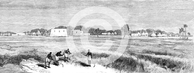 Sketches in the Soudan: Abu Haras, in Kordofan, near El Obeid, 1883. Creator: Unknown.