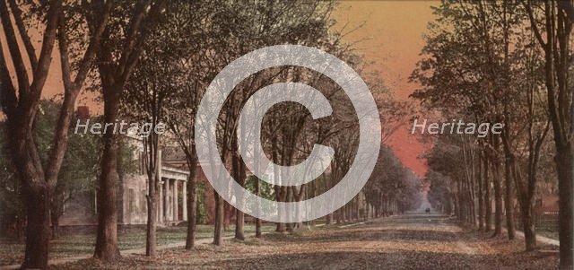 Elizabeth Street, Dansville, N.Y., ca 1900. Creator: Unknown.