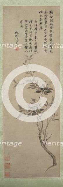 Flowering Crab Apple, 1500. Creator: Shen Zhou (Chinese, 1427-1509).