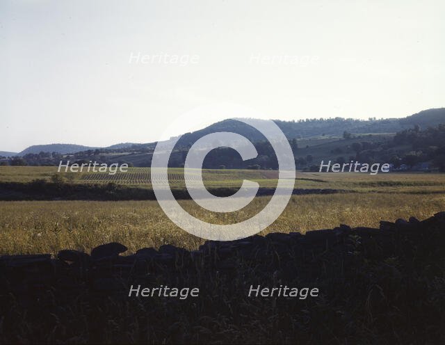 Farmland along the upper Delaware River in New York state., 1943. Creator: John Collier.