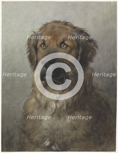 Head of a Leonberger, c.1880-c.1892. Creator: Otto Eerelman.