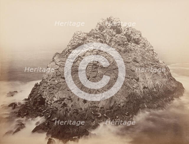 Sugar Loaf Islands, Farallons, 1868-69. Creator: Carleton Emmons Watkins.