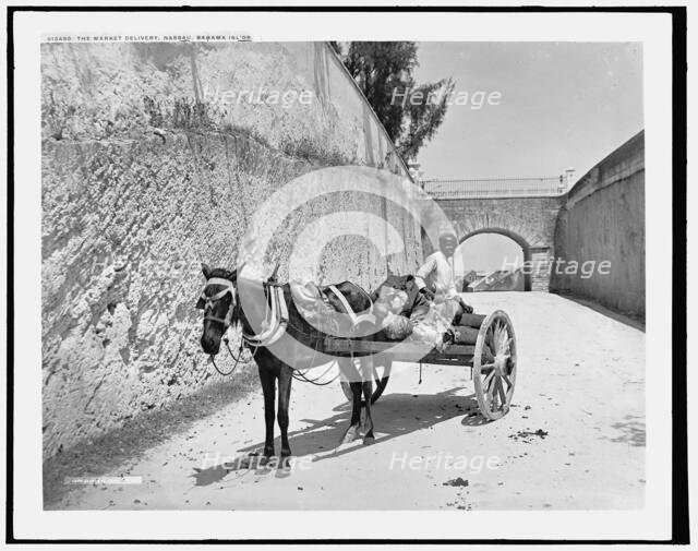 The market delivery, Nassau, Bahama Islds., c1901. Creator: William H. Jackson.
