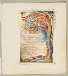 Songs of Innocence and of Experience: The Blossom: Merry Merry Sparrow, ca. 1825. Creator: William Blake.