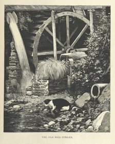 The Old Mill Stream, 1879.  Creator: Unknown.