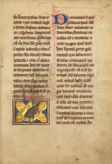 A Night Heron; De Natura Avium; De Pastoribus et Ovibus; Bestiarium, 1277 or after. Creator: Unknown.