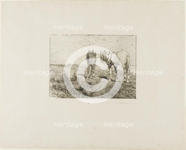 Horses' Rest, c.1885. Creator: Giovanni Fattori.