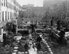 Backyard gardens in New York City, 1920. Creator: Frances Benjamin Johnston.